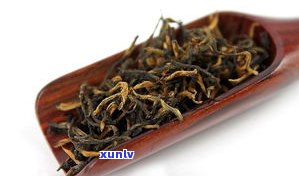 普洱茶金骏眉红茶-金骏眉红茶和普洱哪个好