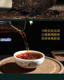 陈年普洱茶饼气味-陈年普洱茶饼气味有吗