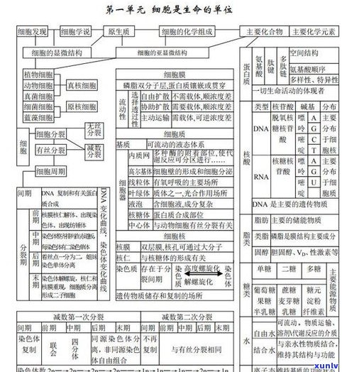 玉石原石价值全解：价格、单位、出售金额，一次告诉你！