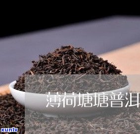 犀牛塘普洱茶功效-犀牛塘普洱茶功效与作用