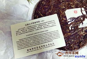 普洱茶哪个山的口感更好？比较与评价