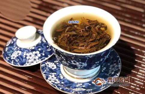 滇红红茶和普洱茶哪个好？区别与口感比较