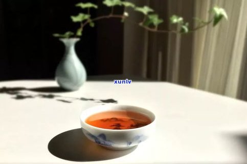 普洱茶有梗好吗？探讨茶梗对茶叶品质的影响