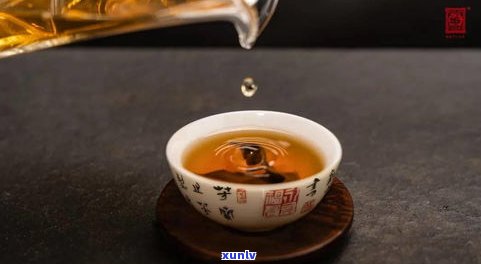 南糯普洱茶属于哪个茶区？了解其价格、品种和产地信息