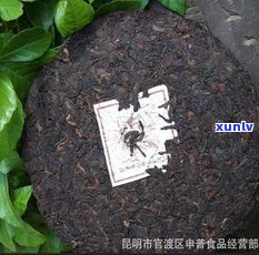 98年古树普洱茶价格：多少钱一斤？