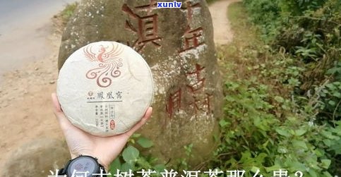 98年古树普洱茶-98年古树普洱茶价格表