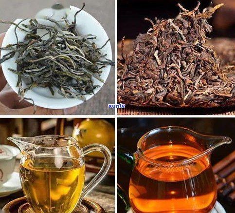 俊昌号普洱熟茶375克价格及生茶、窖藏12年普洱茶的价格是多少？