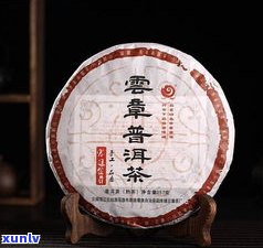 云南普洱茶什么价位？一探究竟！从入门到高端，全面解析不同价位的普洱茶优缺点及推荐购买方案。