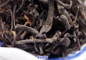 普洱茶里的硬壳虫-普洱茶里的硬壳虫是什么