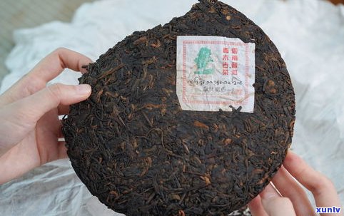 易昌号05普洱茶-05易昌号普洱茶价格