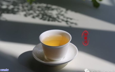 易武古普洱茶视频-易武古普洱茶视频介绍