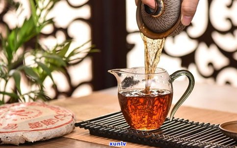 易武古普洱茶视频-易武古普洱茶视频介绍