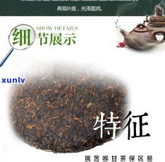 易武古普洱茶视频-易武古普洱茶视频介绍