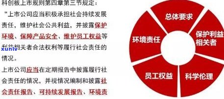 玉石收藏投资购买宝典：全攻略指南，投资要点解析，收藏品市场趋势分析