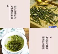 名山名茶怎么样？品种、价格及口感全解析