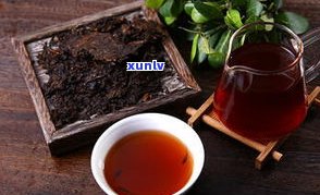 上档次普洱茶品牌-上档次普洱茶品牌推荐