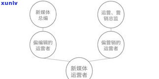 普洱茶前景分析：深度解析与未来展望