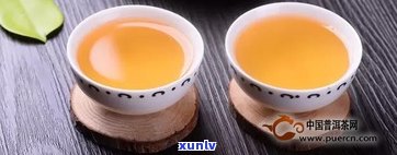 十年普洱茶饼价格表：全面揭示十年陈茶价值与市场价格