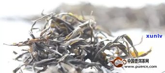 普洱茶放多少量冲泡最合适？详细解析