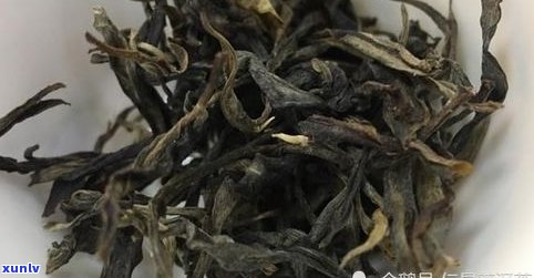 关于普洱茶的传说-关于普洱茶的传说故事