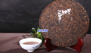 如何在家简易压普洱茶饼视频教程