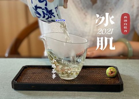 如何在家压普洱茶饼：视频教程与泡茶技巧