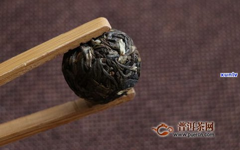 如何在家压普洱茶饼：视频教程与泡茶技巧