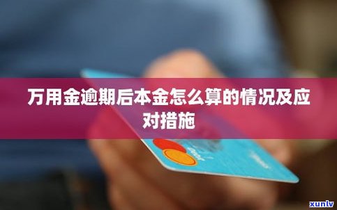 浦发现在还有万用金吗？能否继续使用？