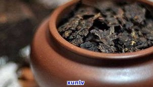 普洱茶化石一次泡多少粒？合适的用量是多少？