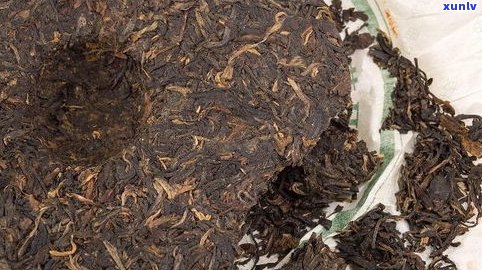 普洱茶化石一次泡多少粒？合适的用量是多少？