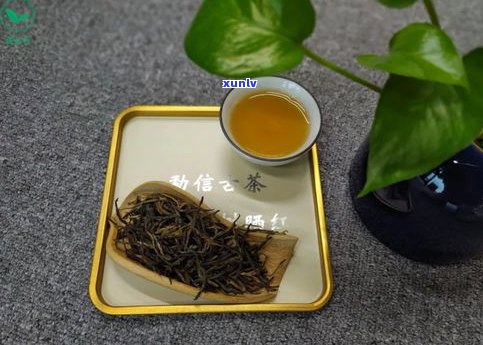 女士喝哪种普洱茶效果好？选择适合自己体质的茶品，才能达到更佳保健效果。