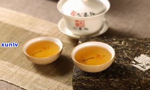 普洱茶含茶多酚量高吗？探究其原因及科学依据