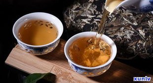 普洱茶含茶多酚成分吗？了解其功效与适宜人群