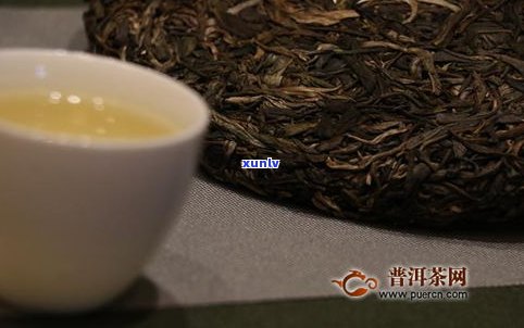 普洱茶含茶多酚成分吗？了解其功效与适宜人群