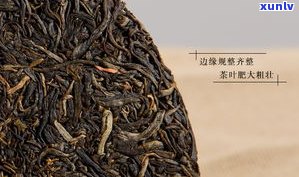 红雀嘴是普洱茶吗-红雀嘴是普洱茶吗图片