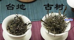 普洱茶的叶底：颜色、辨别 *** 与特点，能否看出古树纯料？