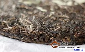 永明普洱茶布朗高山价格及产品介绍：生茶、老树茶、布朗王饼一应俱全，尽在云南普洱茶市场。