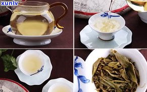 永明普洱茶布朗高山价格及产品介绍：生茶、老树茶、布朗王饼一应俱全，尽在云南普洱茶市场。