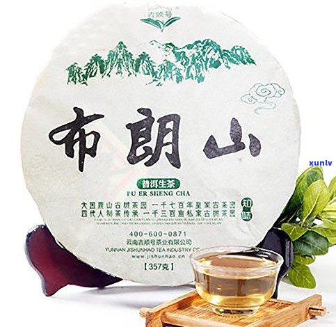 勐海永明茶厂布朗山老树茶：探索高山好茶的故事