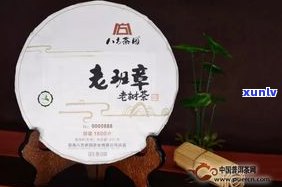 勐海永明茶厂布朗山老树茶：探索高山好茶的故事