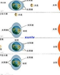 玉石有多大？探讨其更大尺寸、重量及价值影响因素