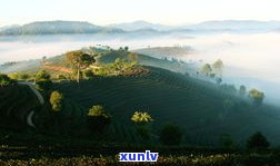 云南普洱茶山：名茶、景点全览