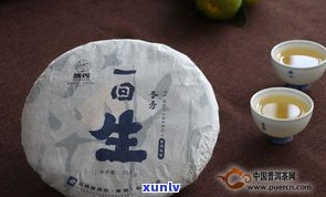 山南市普洱茶品牌-普洱南山茶厂