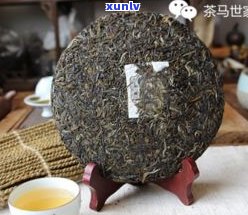 青普洱茶怎样保存-青普洱茶怎样保存更好