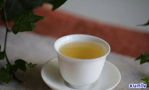 苦的普洱茶是什么？口感、品牌与品种全解析