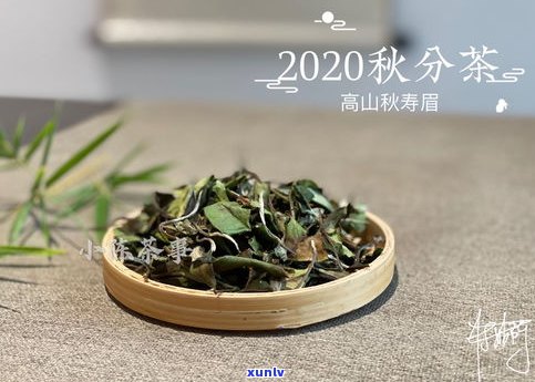 中国红：普洱茶还是白茶？哪种更好？附图解析