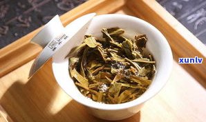 贺开普洱茶生茶价格357克：多少钱？口感特点如何？