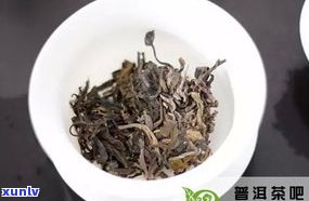 贺开普洱茶生茶价格357克：多少钱？口感特点如何？