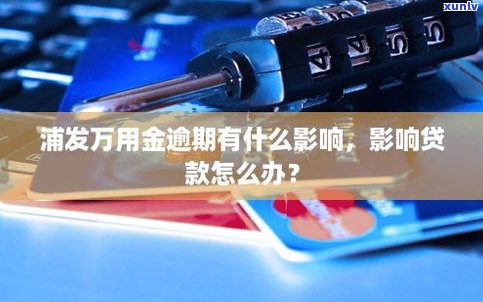 浦发万用金能否用于还信用卡？