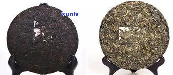 普洱茶都分什么匠种？了解不同品种的特点与优劣